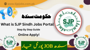 What is SJP Sindh Jobs Portal 2025? Step By Step Guide